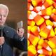Illustration for article titled Comparing the 2020 Presidential ‘Candydates’ to Halloween Treats